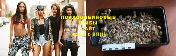mix Вяземский