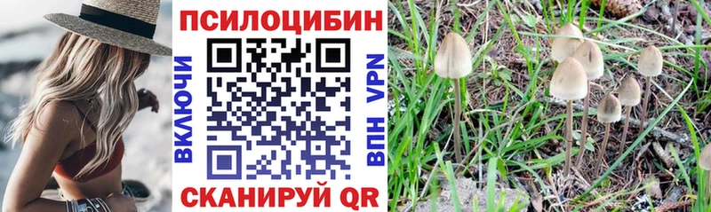 Псилоцибиновые грибы MAGIC MUSHROOMS  Петухово 
